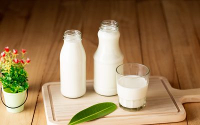 Opciones de leche vegetal